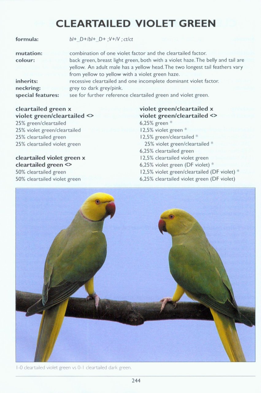 asiatic parrots and their mutations pdf